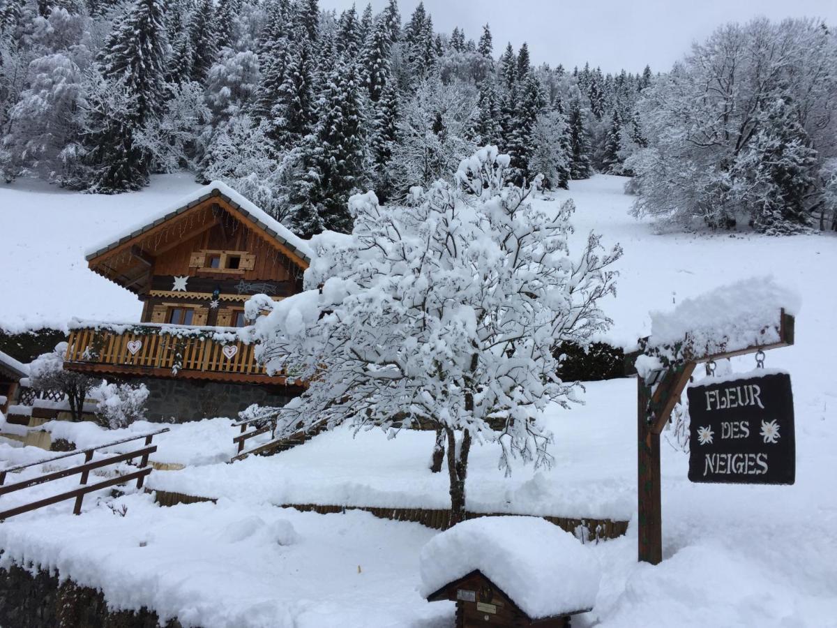 Chalet Fleur Des Neiges Saint-Jean-d'Aulps Exterior photo