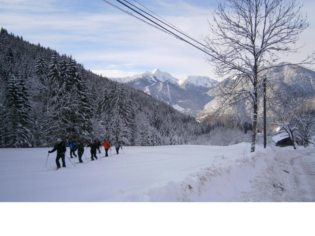 Chalet Fleur Des Neiges Saint-Jean-d'Aulps Exterior photo